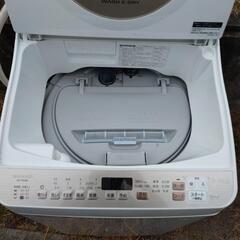 シャープ洗濯乾燥機の画像