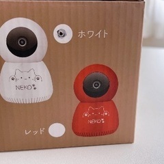 みまもりねこの画像