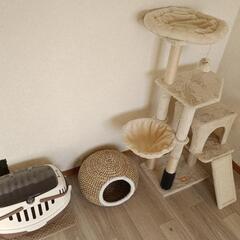 【終了致しました】猫グッズ一式貰ってくださいの画像