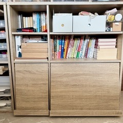 LOWYAの扉付き収納棚の画像