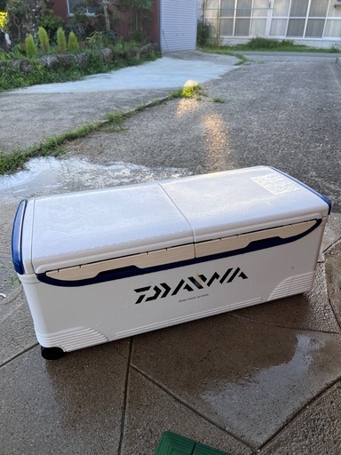 本日限定価格！ダイワ　50Lクーラーボックス