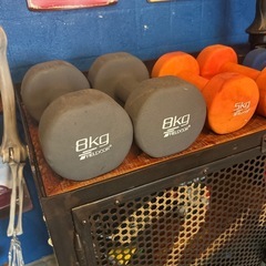 SKG ダンベルセット 1.8kg 2kg 3kg 5kg 8kgの画像