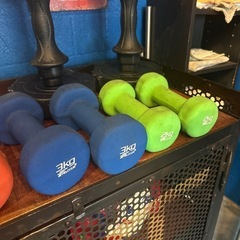 SKG ダンベルセット 1.8kg 2kg 3kg 5kg 8kgの画像