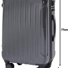 新品・未使用 スーツケース Mサイズ 63L ダブルキャスター TSAロック付の画像