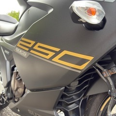 スズキ ジクサーSF250 ABS マットブラック ETC/前後ドラレコ付きの画像