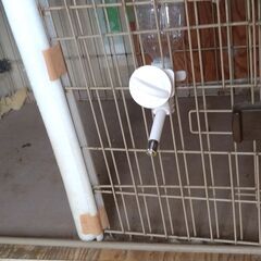 犬のゲージと犬のトイレの画像
