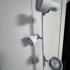間接証明の画像