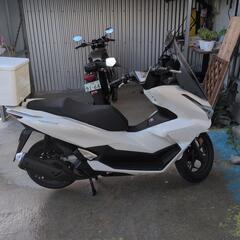 ホンダpcx125JK05の画像