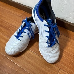 子供の室内用のスニーカーの画像