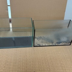 水槽の画像
