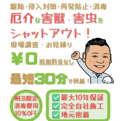 【最安値保証】ネズミ駆除　害獣被害を解決【さいたま市から駆け付け】