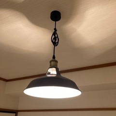 ペンダントライト 1灯 天井照明 北欧風の画像
