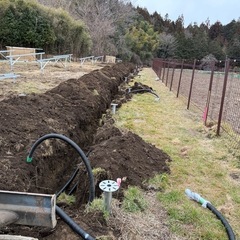 ★急募★新規事業の為従業員大募集いたします！の画像