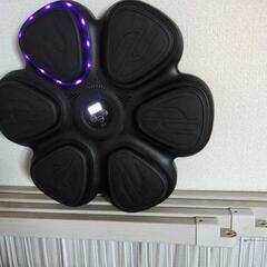     新品新感覚！光るリズムフィットネスパッドの画像