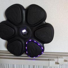     新品新感覚！光るリズムフィットネスパッドの画像
