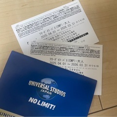 (2枚あり) ユニバーサル・スタジオ・ジャパン フリーデイト・パス（CMP） 大人用チケットの画像