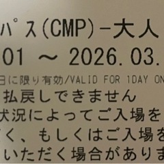 (2枚あり) ユニバーサル・スタジオ・ジャパン フリーデイト・パス（CMP） 大人用チケットの画像