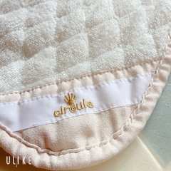 値下げ交渉可能です♡ ペット用マット プラウシオンの画像