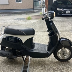 エンジン始動動画あり堺市堺区キムコミッチ50の画像