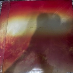 中島美嘉 【火の鳥】レコードの画像