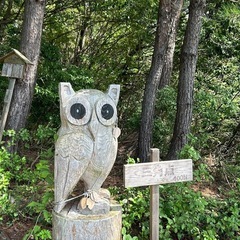 登山友達募集です✨