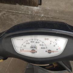 ホンダディオの画像