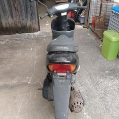 ホンダディオの画像