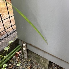 イナバ　物置の画像