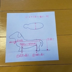 パグ4輪歩行器リハビリの画像
