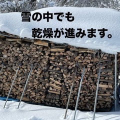 リンゴの薪（2年間乾燥済み）の画像