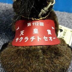 SK JAPAN エスケイジャパン すわり4Sキーホルダー サクラチトセオー 第112回天皇賞 1995年 ダービー 小島太 名馬 ぬいぐるみの画像