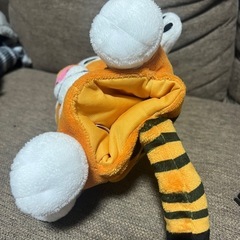 チャンドゥの画像