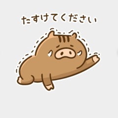 敷ふとん2枚譲って下さい