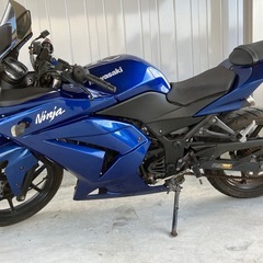 Kawasaki Ninja250Rの画像