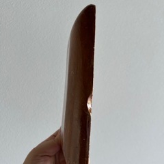 他購入者に無料さしあげます。の画像