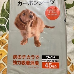 犬用トイレトレーワイド の画像
