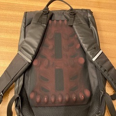 リュック　ルコックの画像
