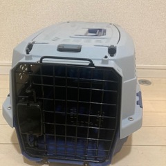 猫　ケースの画像