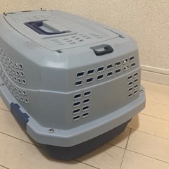 猫　ケースの画像