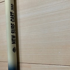 NEW  SURF CAST 300の画像