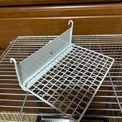 フクロモモンガゲージ（お引き取り決定しました）の画像