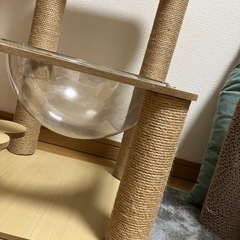 キャットタワーの画像