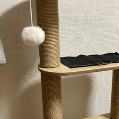 キャットタワーの画像