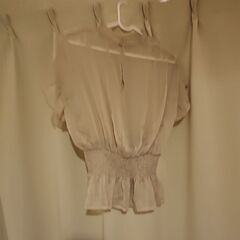 シースルーカットソーの画像