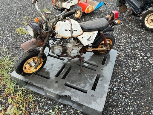 ホンダモンキー？