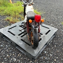 ホンダモンキー？の画像