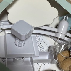 トラセリア　メリーの画像