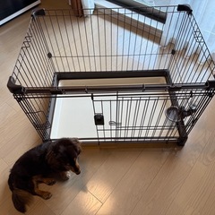 子犬🐶ケージの画像