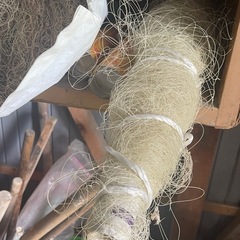 この青い針金みたいなものがたくさんあります‼️の画像