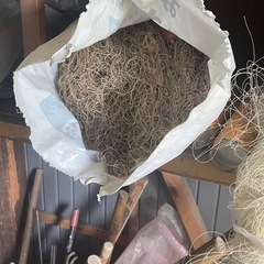 この青い針金みたいなものがたくさんあります‼️の画像